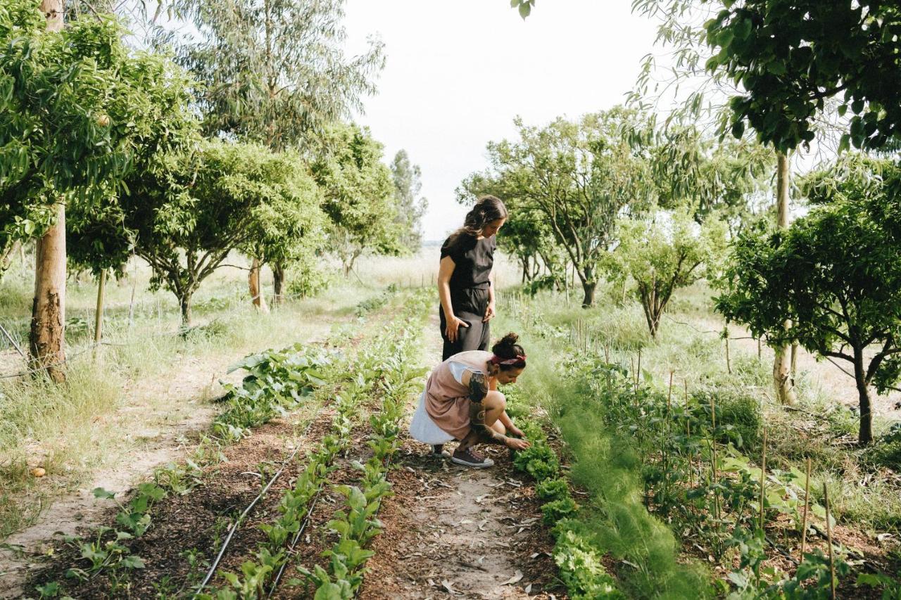 Vila Humus Farm Águas de Moura Exteriér fotografie