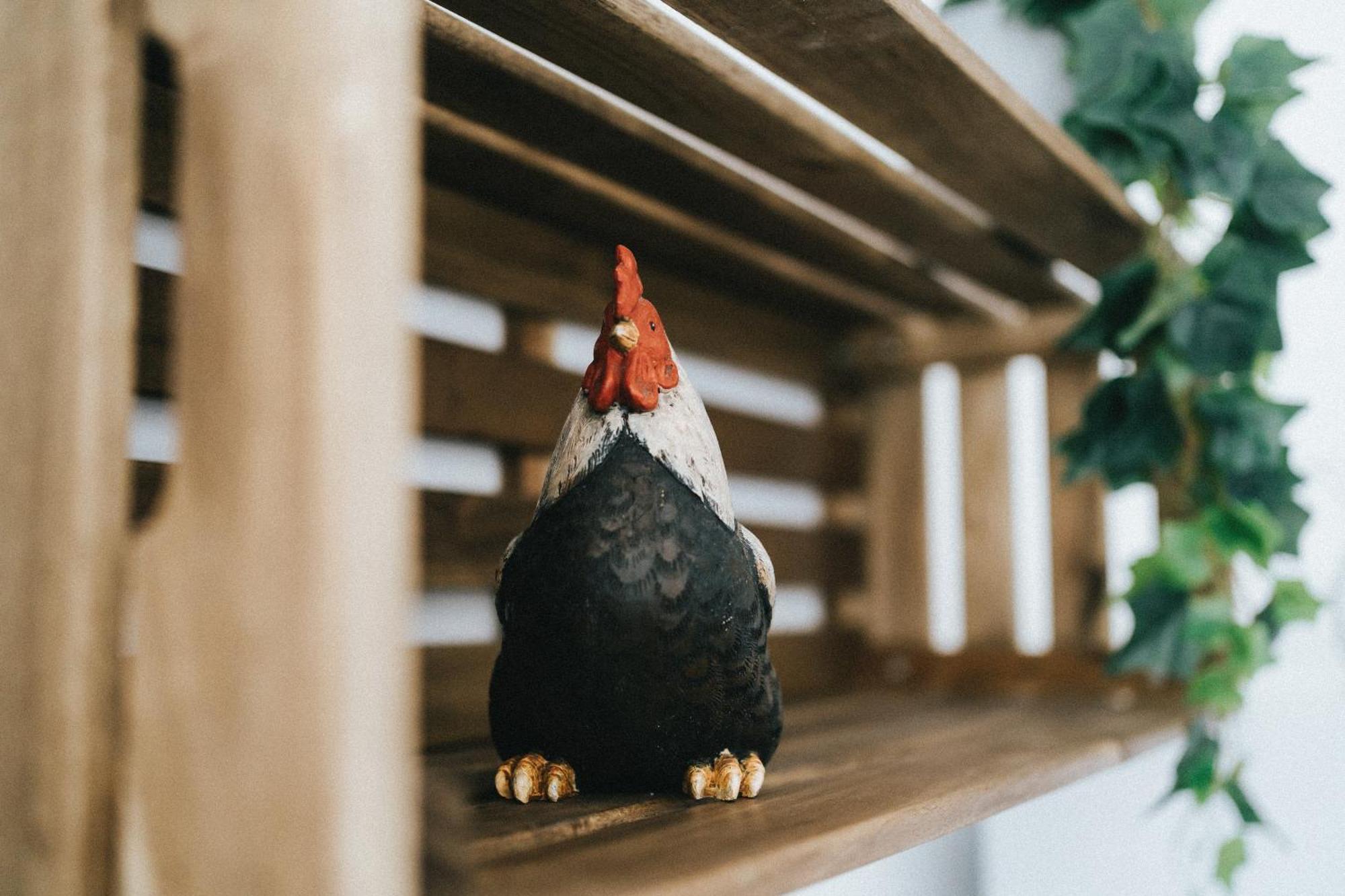 Vila Humus Farm Águas de Moura Pokoj fotografie